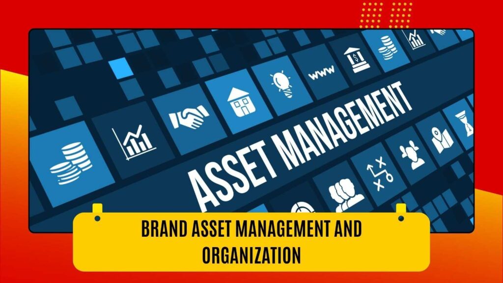 Brand Asset Management and Organization